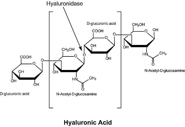 Hyaluronidase from bovine testes