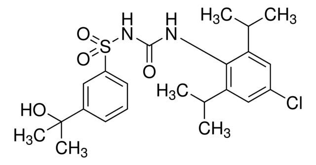 CP-424,174