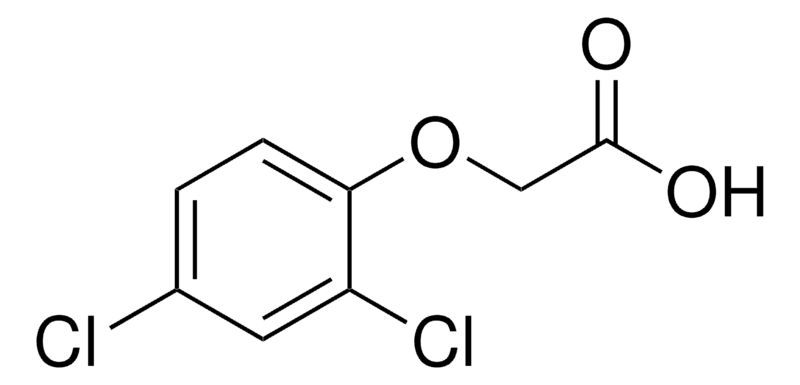 2,4-D solution