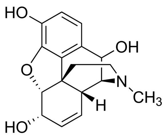 10-Hydroxymorphine solution