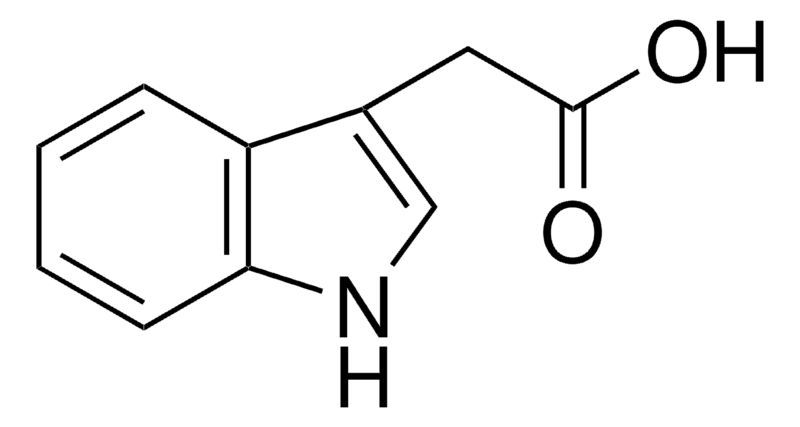 3-Indoleacetic acid