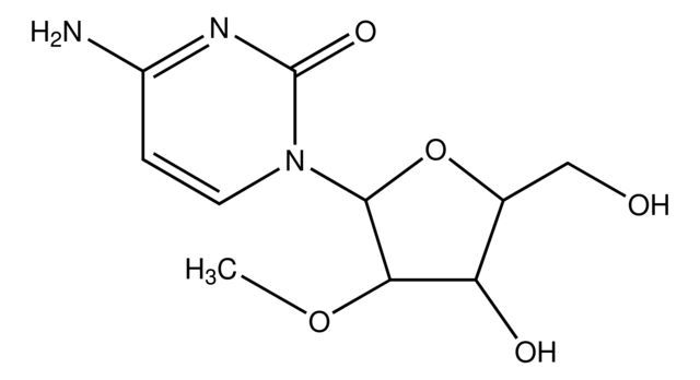 2′-0-Methylcytidine