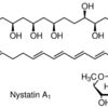 Nystatin Suspension