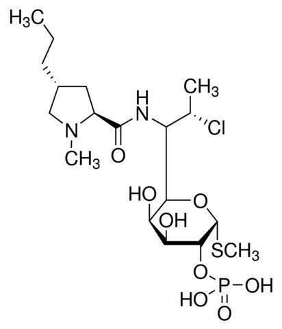 Clindamycin 2-phosphate