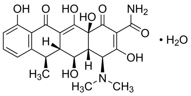 Doxycycline monohydrate