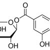 1-O-Galloyl-β-D-glucose