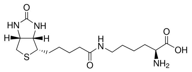 Biocytin