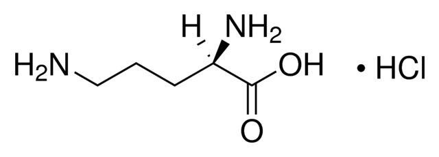 D-Ornithine monohydrochloride