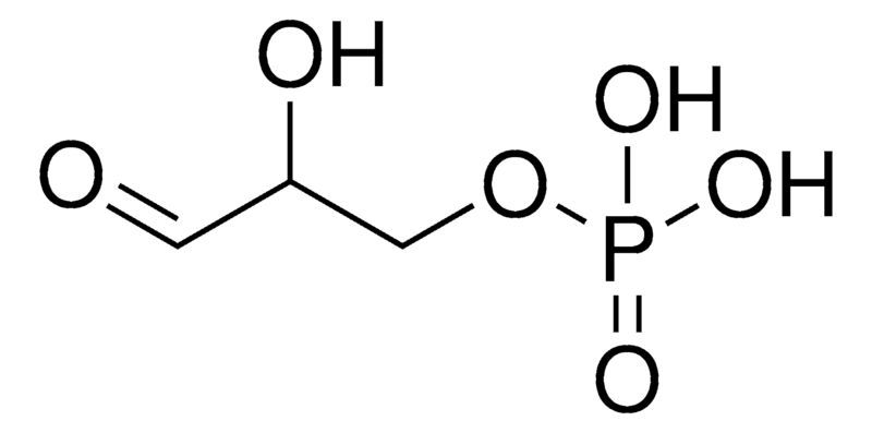 DL-Glyceraldehyde 3-phosphate solution