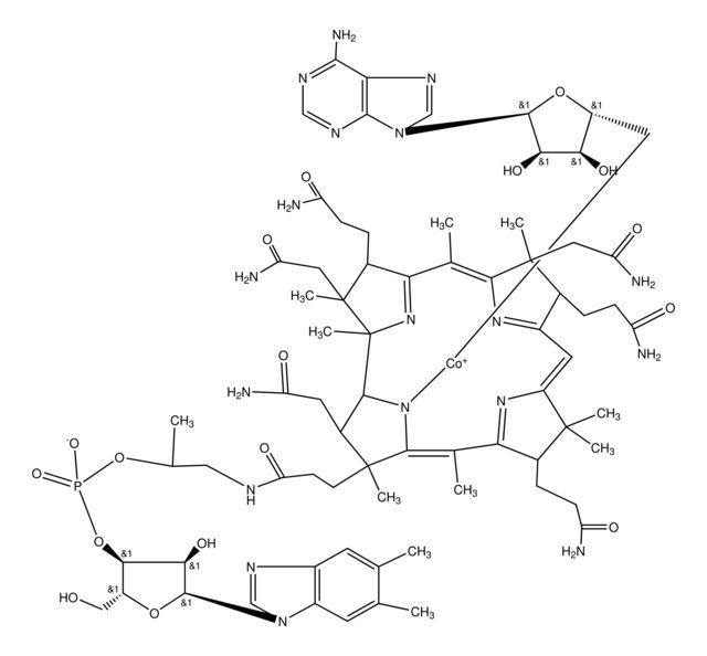 Coenzyme B12