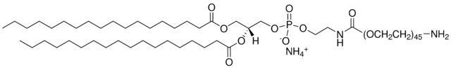 DSPE-PEG(2000) Amine