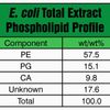 E. coli Extract Polar