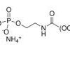 DSPE-PEG(2000) Folate