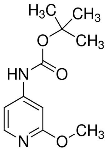 (2-Methoxy-pyridin-4-yl)-carbamic acid tert-butyl ester