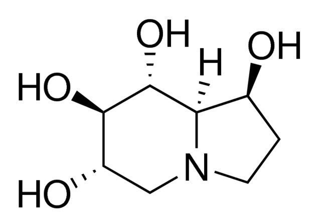 (1S,6S,7R,8R,8aR)-1,6,7,8-Tetrahydroxyindolizidine