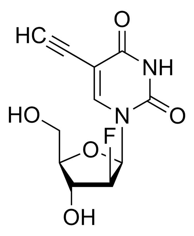 (2′S)-2′-Deoxy-2′-fluoro-5-ethynyluridine, (F-ara-EdU)