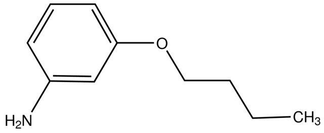 (3-Butoxyphenyl)amine