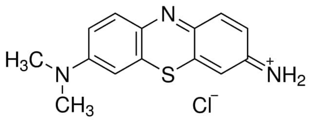 Giemsa stain