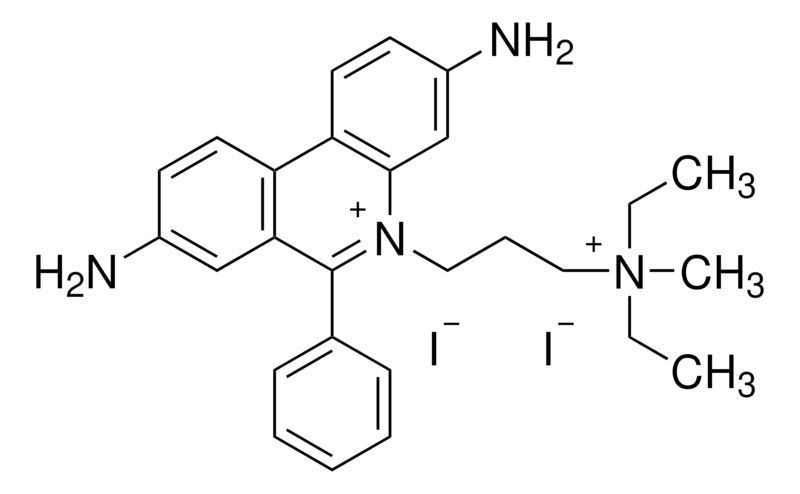 Propidium Iodide