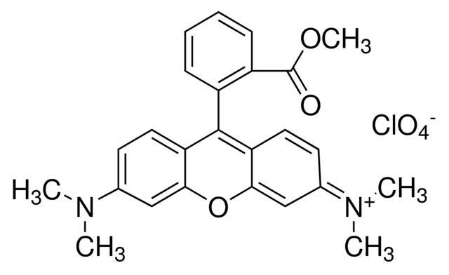 Tetramethylrhodamine methyl ester perchlorate