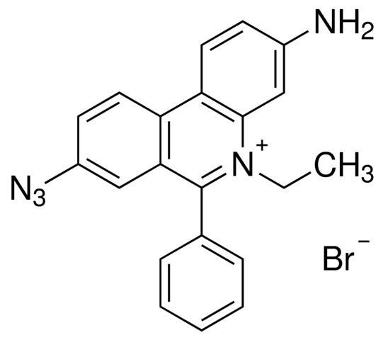 Ethidium bromide monoazide