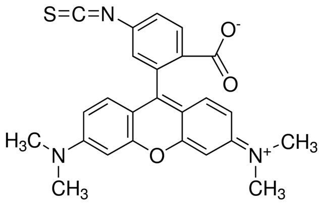 Tetramethylrhodamine isothiocyanate Isomer R