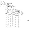 Kdo2-Lipid A (KLA)