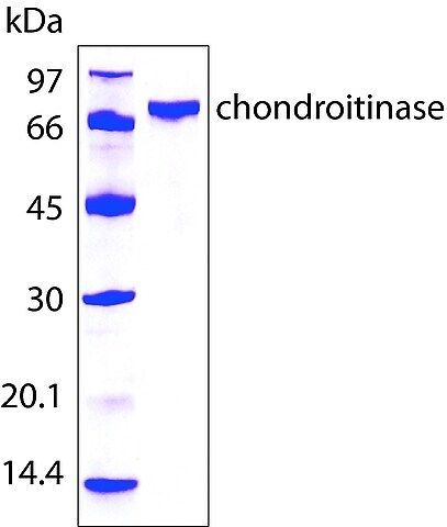 Chondroitinase AC from Flavobacterium heparinum