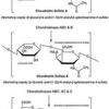 Chondroitinase AC from Flavobacterium heparinum