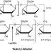 Lyticase from Arthrobacter luteus